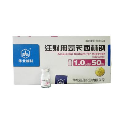 注射用氨苄西林钠