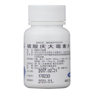 硫酸庆大霉素片