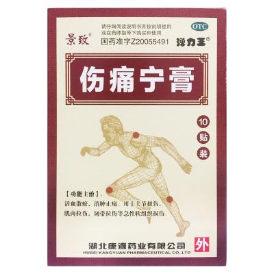 伤痛宁膏