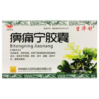 痹痛宁胶囊