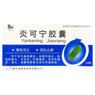 炎可宁胶囊